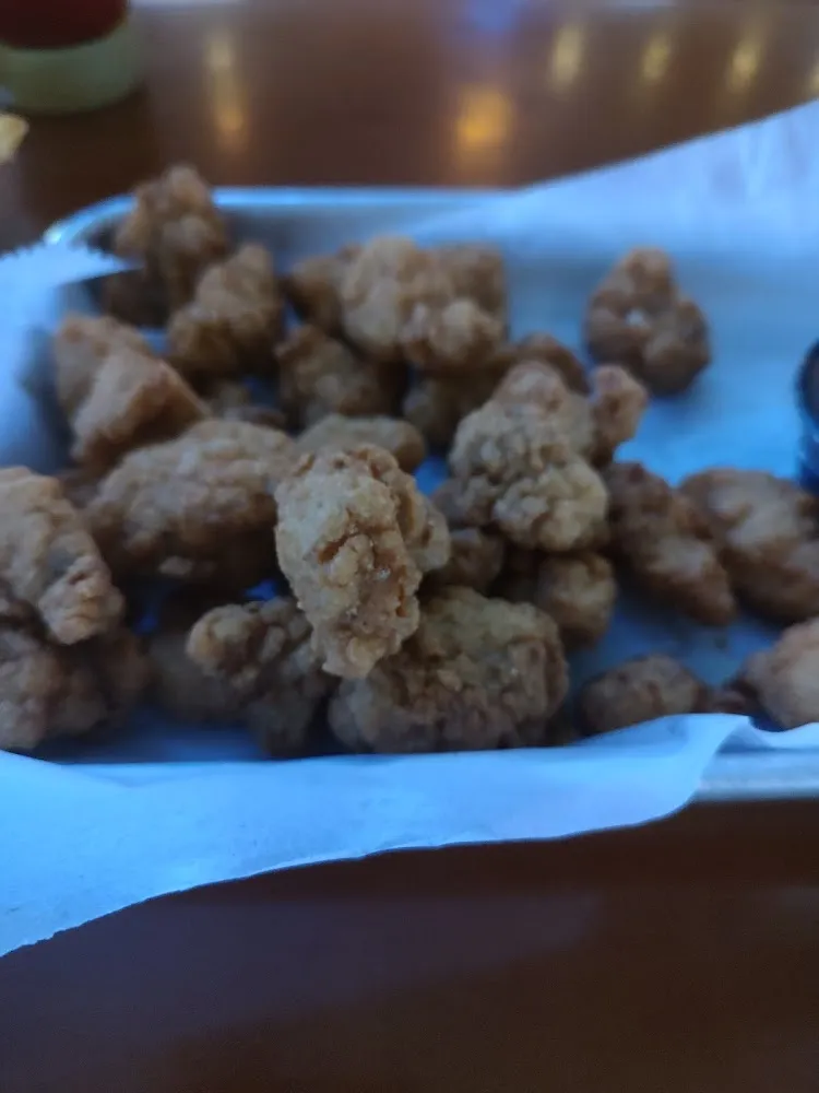 Gator Bites